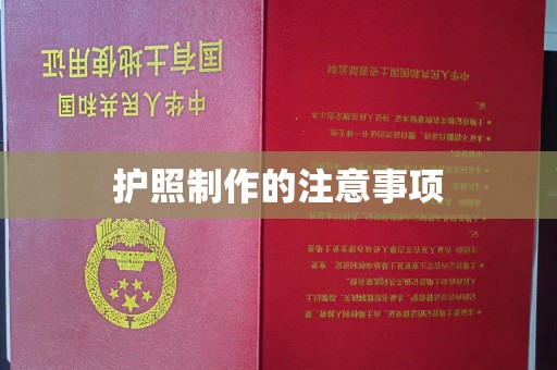 望谟护照制作的注意事项