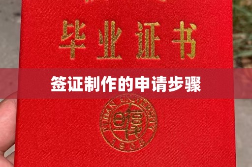 望谟签证制作的申请步骤