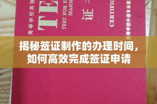 望谟揭秘签证制作的办理时间，如何高效完成签证申请