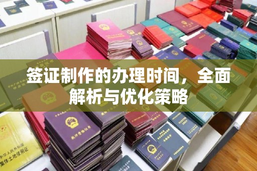 望谟签证制作的办理时间，全面解析与优化策略