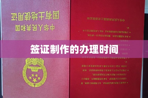 望谟签证制作的办理时间