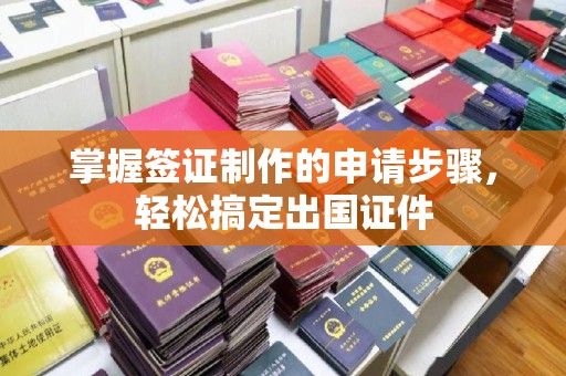 望谟掌握签证制作的申请步骤，轻松搞定出国证件