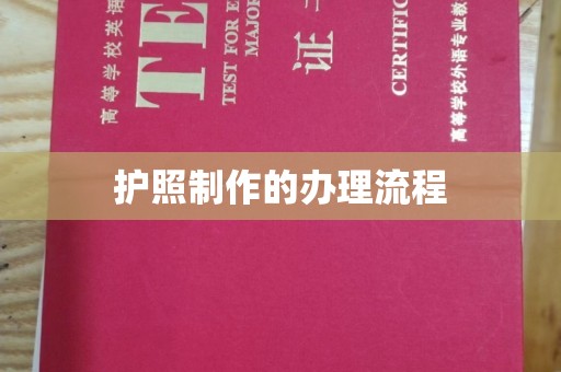 望谟护照制作的办理流程